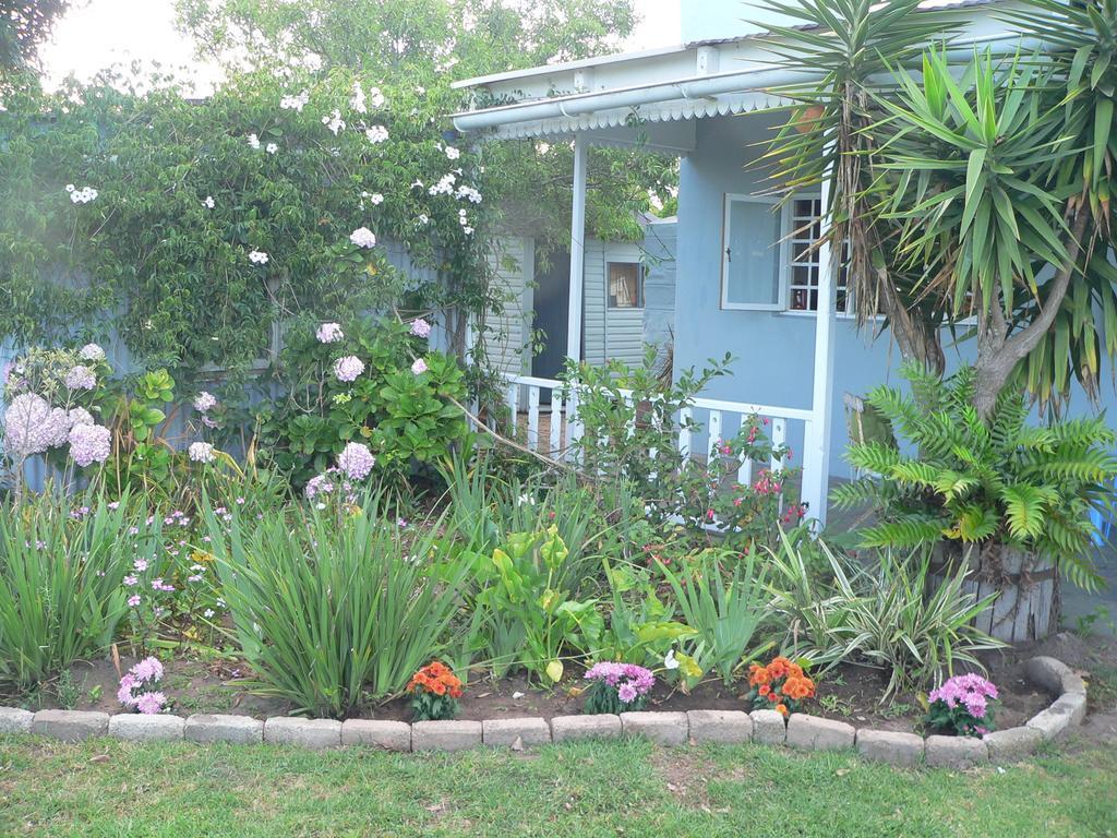 Weldon House Hotel Plettenbergbaai Kamer foto